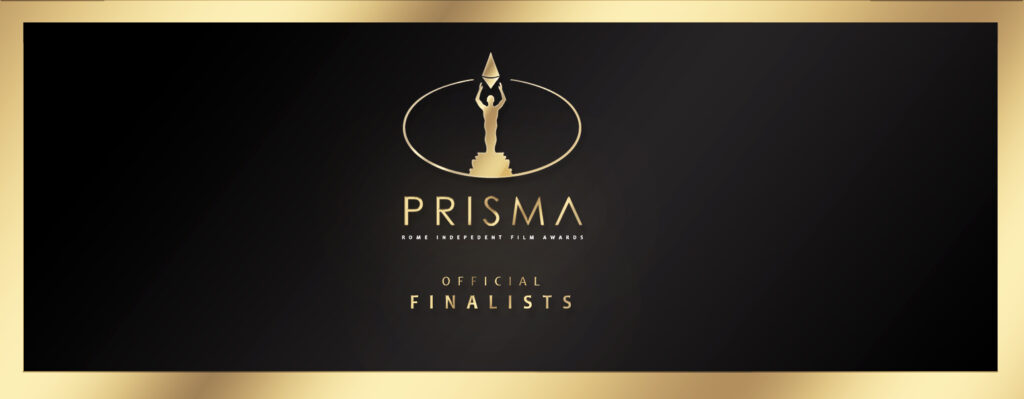 Dopo la selezione al Social World Film Festival e all'Apulia Web Fest, Non voglio mica la luna è stata selezionata e concorre insieme ad altri 3 finalisti nella categoria Best Web Serie del Rome Prisma Film Awards, festival che seleziona e premia mensilmente le migliori produzioni cinematografiche indipendenti.